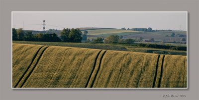 _JMH9542-50 copie.jpg