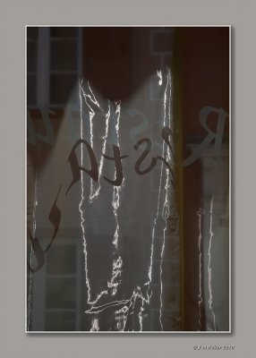 _JMH9543-77 copie.jpg