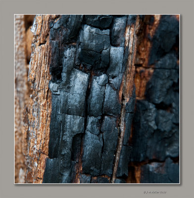 _JMH9565-64 copie.jpg