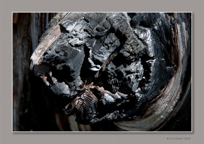 _JMH9573-59 copie.jpg