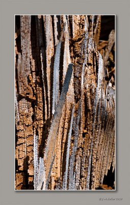 _JMH9582-55 copie.jpg