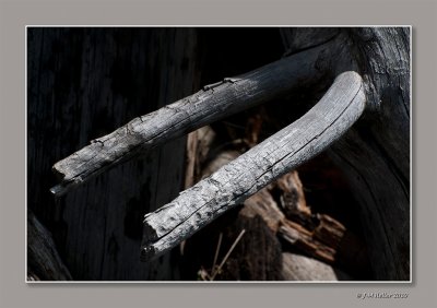 _JMH9584-54 copie.jpg