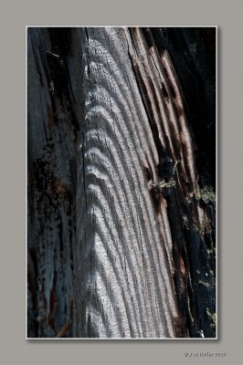 _JMH9587-52 copie.jpg