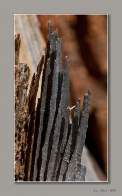 _JMH9588-51 copie.jpg