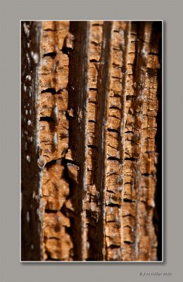 _JMH9594-49 copie.jpg