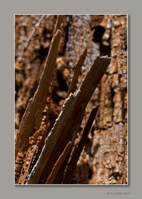 _JMH9596-48 copie.jpg