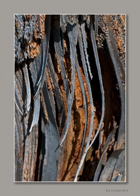 _JMH9597-47 copie.jpg