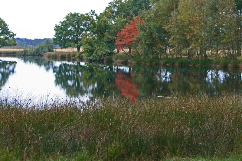Nat Park Dwingelderveld