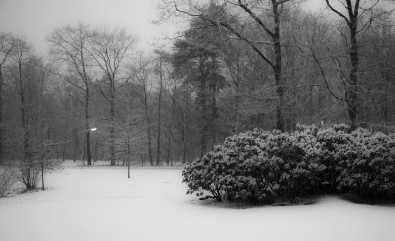 Winter in Drenthe 2010_0820