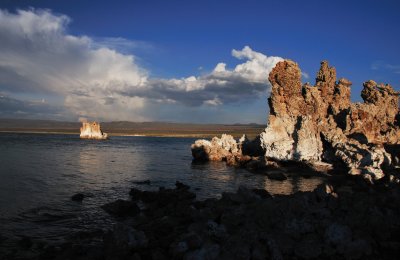 Mono Lake Spring