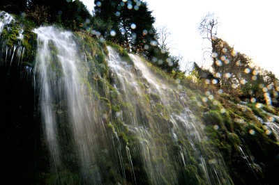 Look up on Mossbrae Falls.jpg