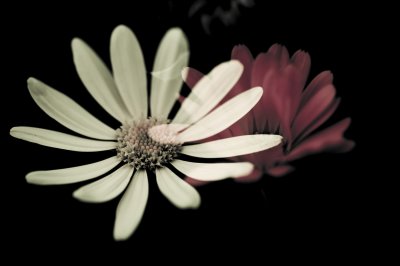 g3/58/887158/3/125087102.j0lxjZ4V.jpg