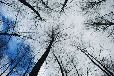 sky_1.jpg