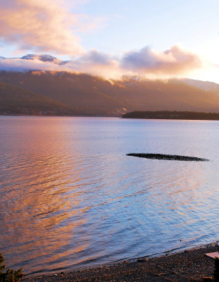Coot Island