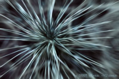 frosty trance01.jpg