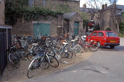 g3/58/953058/3/124062021.oFeeisg3.jpg