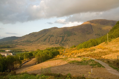 _MG_6420.jpg