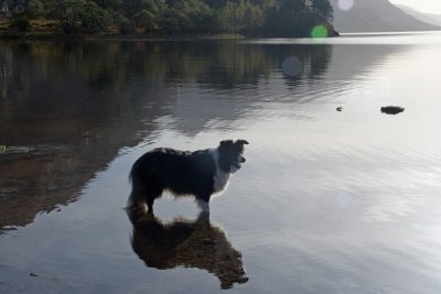 Fame in loch.jpg
