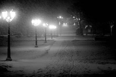 _MG_7321.jpg