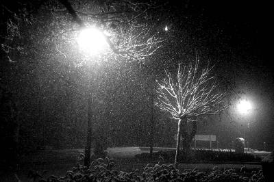_MG_7329.jpg
