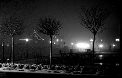 _MG_7331.jpg