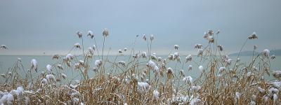 _MG_7217.jpg