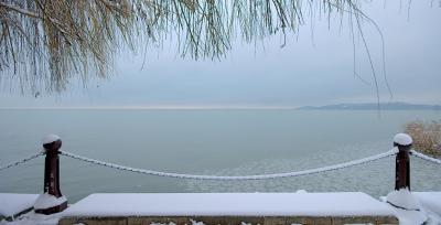 _MG_7218.jpg