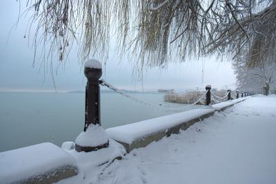 _MG_7220.jpg