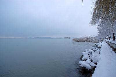 _MG_7221.jpg