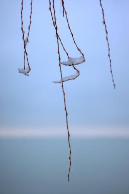 _MG_7224.jpg