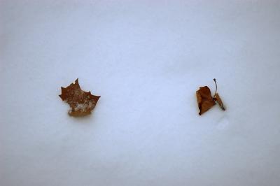 _MG_7228.jpg