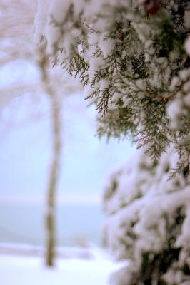 _MG_7229.jpg