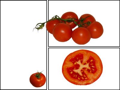 g3/59/348059/3/56259651.tomate.jpg