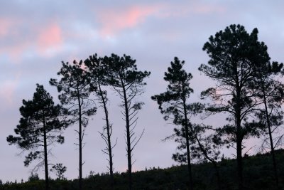 LMT_7296.jpg