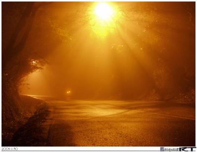 Misty Yang-Chin  Highway @ night, ]