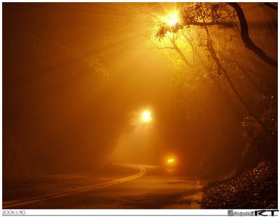 Misty Yang-Chin Highway @ night
