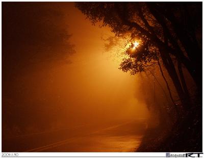 Misty Yang-Chin  Highway @ night, ]