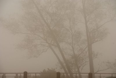 Griffith_Park08516.jpg