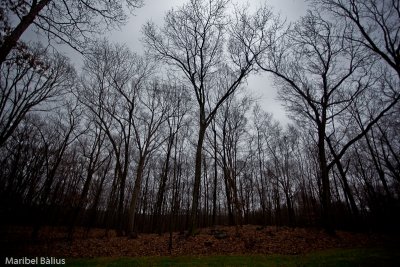 g3/59/472759/3/119695245.cGgYKWy5.jpg