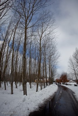 g3/59/472759/3/120771380.jG4hslzE.jpg