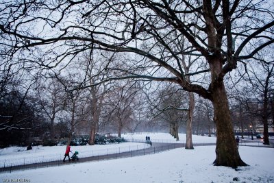 let it snow 1 of 1.jpg