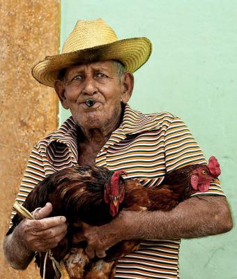 El vendedor de gallos