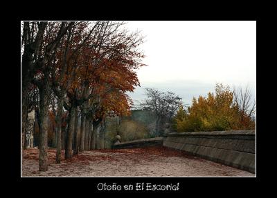 g3/59/472759/3/52656034.otooenelescorial.jpg