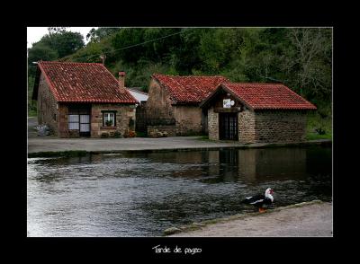 Tarde de paseo