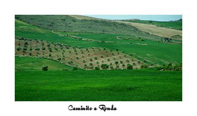 caminito a ronda.jpg