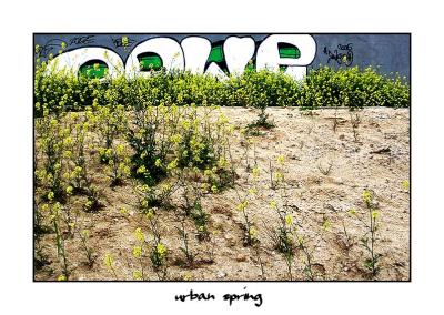 urban-spring.jpg