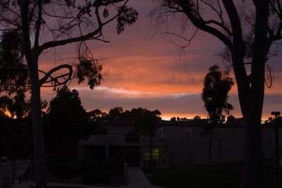 29-Jan-2010