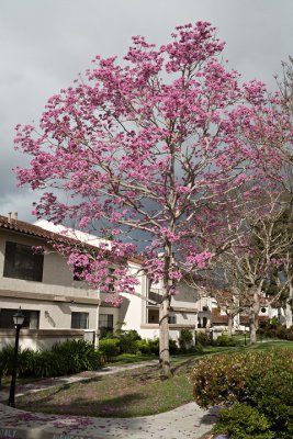 21-Apr-2010