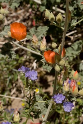 IMG_9636.jpg