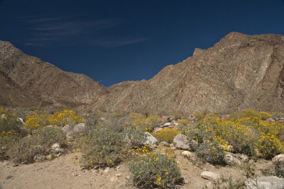 IMG_7986.jpg